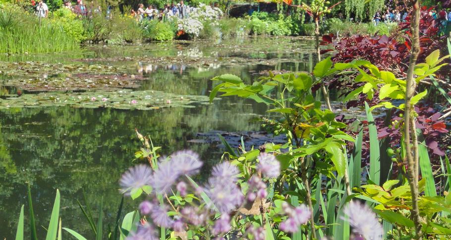 Fleurs Giverny 