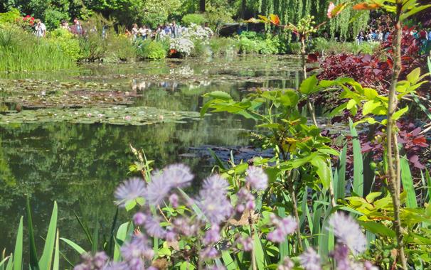 Fleurs Giverny  - Chateau de Bouafles