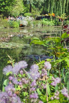 Fleurs Giverny  - Chateau de Bouafles